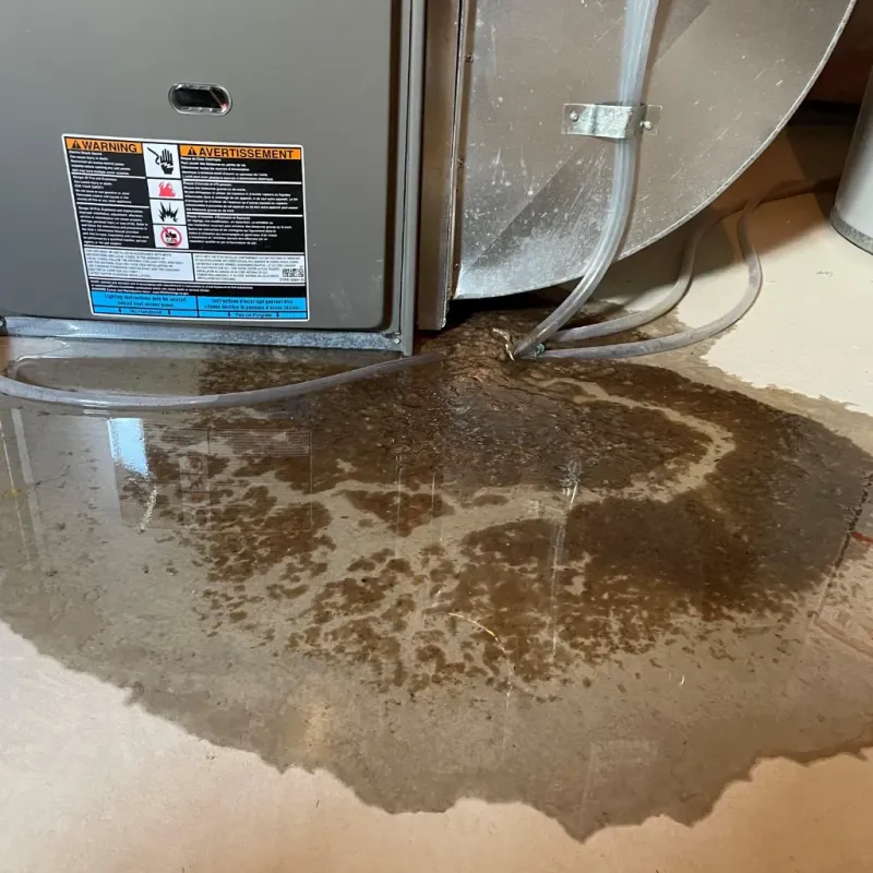 Appliance Leak Cleanup in Jackpot, NV